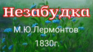 Незабудка. Стихотворение М.Ю.Лермонтова 1830г.