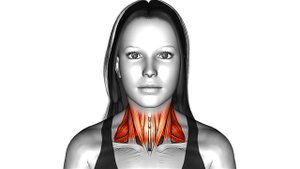10 лучших Упражнениях для исправления выдвинутой вперед ОСАНКИ