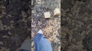 VID_20250413_145418.mp4