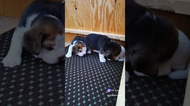 Девочки такие девочки 😍😍😍