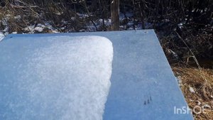 Какие дела я сделал на пасеке