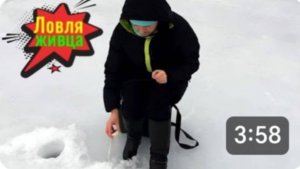 Ловим живца. Готовимся к рыбалке на щуку.