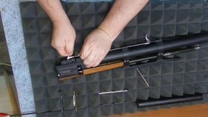 Чистка Крикета