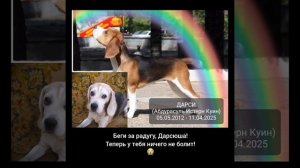Беги за радугу, Дарсюша! Теперь у тебя ничего не болит! 😭