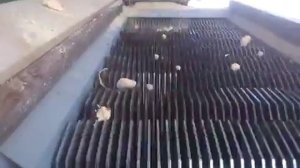 Сепаратор дисковый  в работе.