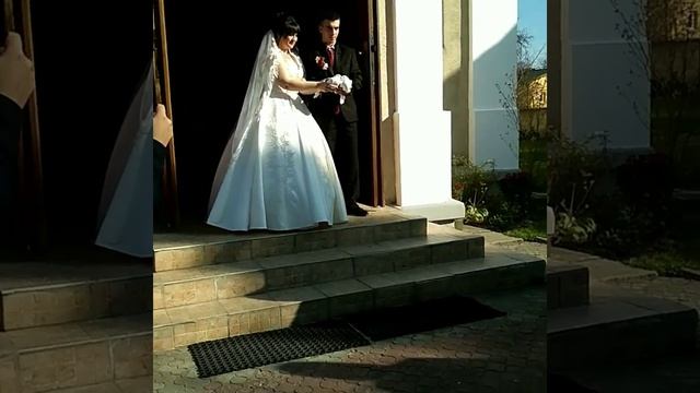 Голуби на весілля також на випускний!! смотреть онлайн