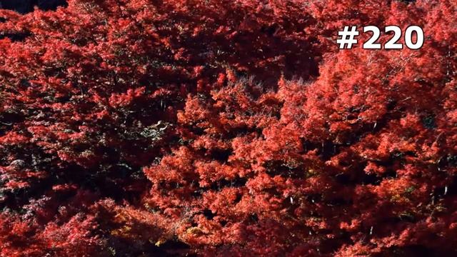 Где лучше провести отпуск смотреть онлайн