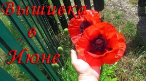 Вышивальный июнь \ Алла Ерохова "Лучшие ботанические мотивы"