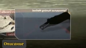 Ругопс-кто он? Настоящая загадка палеонтологии.