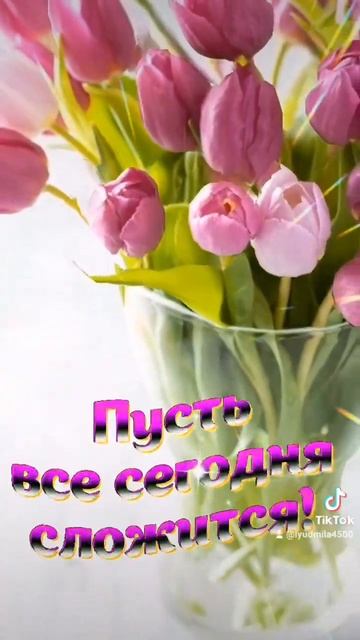 Доброе утро !🌷🌷🌷💛#пожелания #доброеутро смотреть онлайн