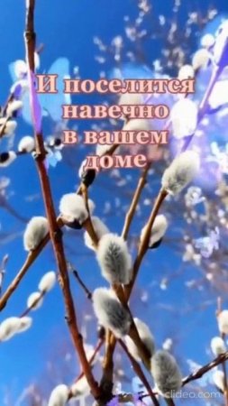 Вербное Воскресенье. Shorts.