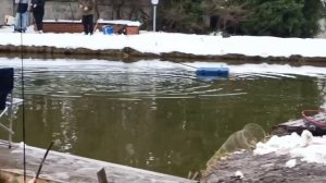 Голицыно Fish 13 апреля 2025