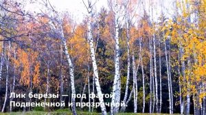 поэтическая среда.  Пастернак.  Осень.  Сказочный чертог