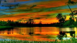 Афанасий Фет - Вечер