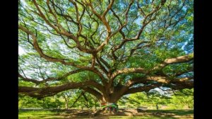 Гороскоп на неделю с 14 по 20 апреля. 2025 года.