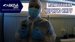 Подготовка икры к реализации. Весь процесс от А до Я. #акваферма #рыбныйбизнес #рыба #икра