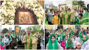 ВХОД ГОСПОДЕНЬ В ИЕРУСАЛИМ.