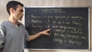 ЖКТ ПОДЖЕЛУДОЧНАЯ