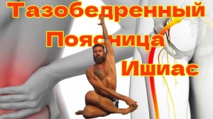 Комплекс для Поясницы и Тазобедренного