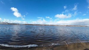 Фидер 13.04.25 продолжаем🐟🐟🐟