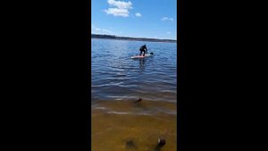 Сапборд  2025