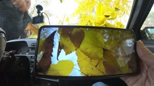 Влог: Результат диеты / Купили арбуз Холодок