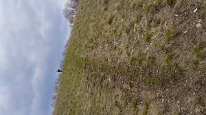 красота деревни ягодная поляна