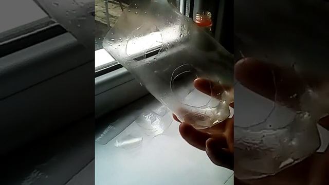 мы вырэсль лук в бутылку смотреть онлайн