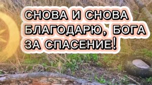 БЛАГОДАРЮ, ВСЕВЫШНИЙ СОЗДАТЕЛЬ, ЗА ТО, ЧТО СБЕРЁГ🙏