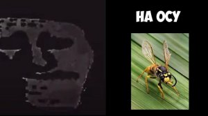 Ты сел на_