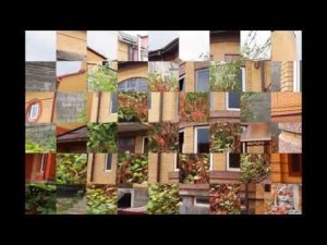 Продажа. Вишневый сад. Абрикосовый переулок. Владикавказ.