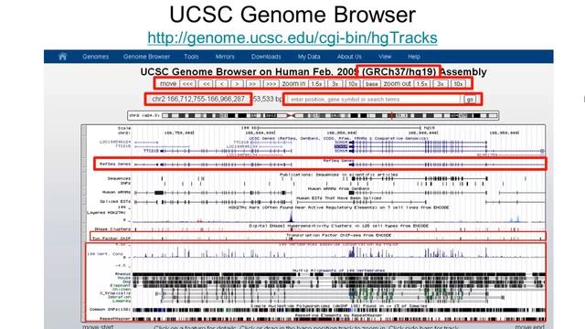 UCSC Genome Browser - Bioinformatics: Introduction and Methods 生物信息学: 导论与方法