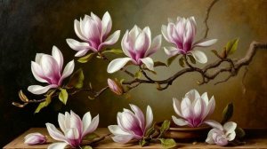 Сы Цзинь (Как парча), кавер