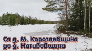 От деревни Малая Коротаевщина до деревни Нагибовщина.mp4