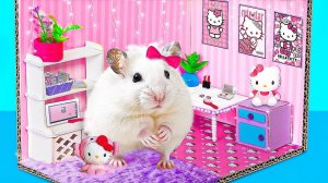 МЫ ПОСТРОИЛИ МАЛЕНЬКИЙ ДОМИК ДЛЯ ХОМЯКА В СТИЛЕ HELLO KITTY | РАЗВЛЕКАТЕЛЬНОЕ И ПОЗНАВАТЕЛЬНОЕ