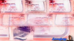 Preview 2 King Shark Bus Effects (Preview 2 Funny 2022.69 Effects)