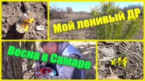 @139 Ну, очень ленивый мой ДР/Хотя бы без сугробов