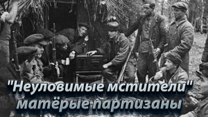 "Неуловимые мстители": матёрые партизаны.