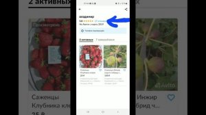 Купить саженцы на авито,полезный совет. 25г.