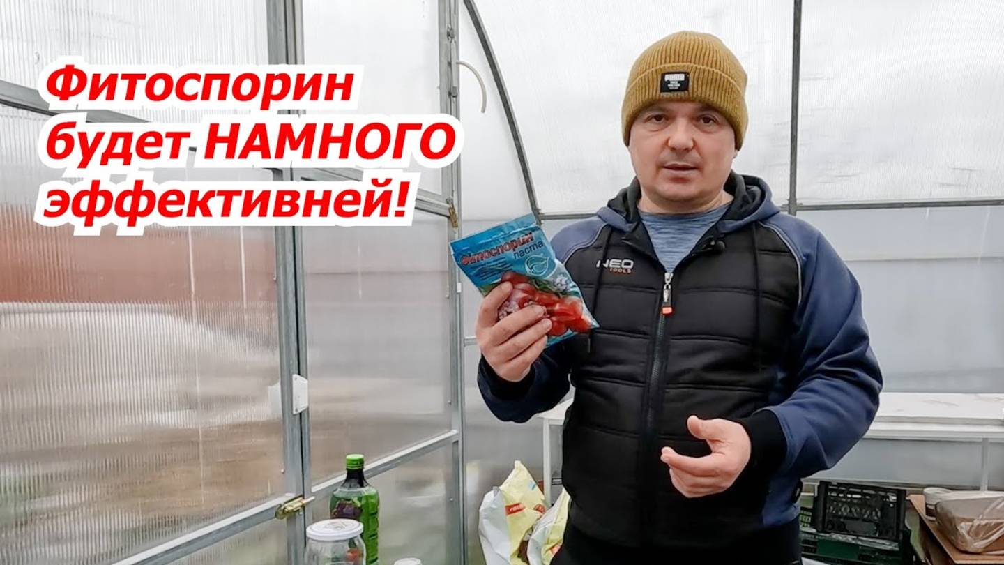 Забудьте о слабом Фитоспорине! 2 лайфхака, которые превратят его в мощный щит для растений