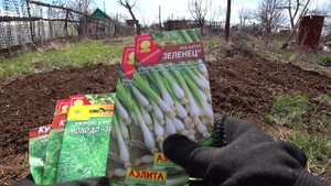 Влог: Дачный / Поехали делать дела