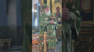 Проповедь митрополита Тобольского и Тюменского Димитрия в праздник Вход Господень в Иерусалим 13.04
