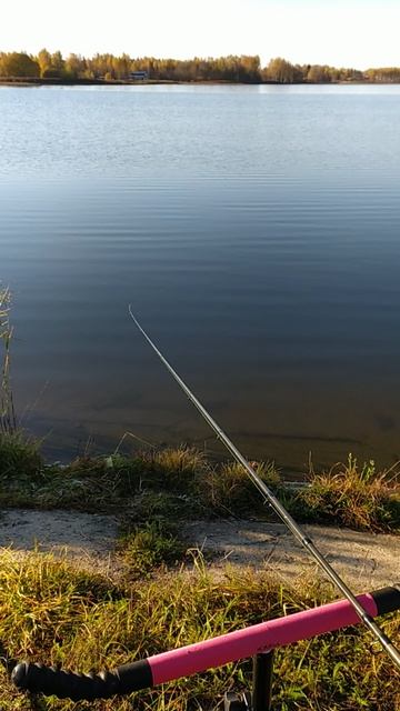 VID_20241020_091334 смотреть онлайн