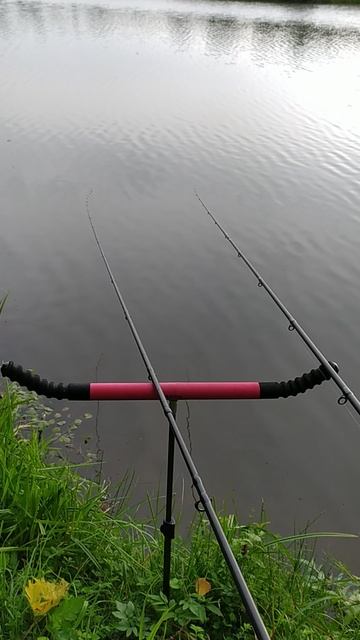 VID_20240817_071729 смотреть онлайн