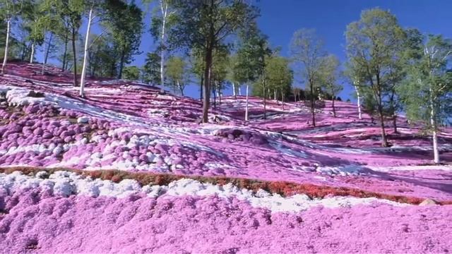 Природа смотреть онлайн