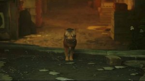 Stray. Прохождение игры #2