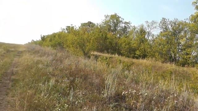 Короткие сюжеты о Родном крае