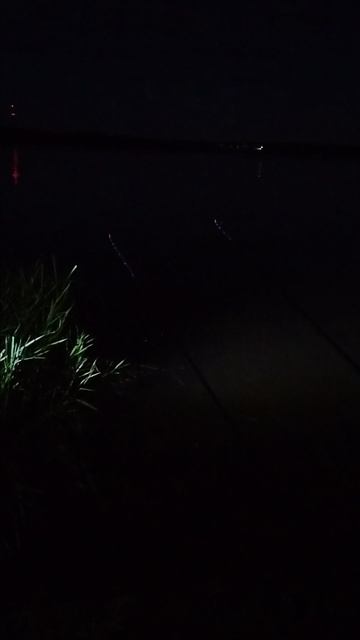 VID20240720223113 смотреть онлайн