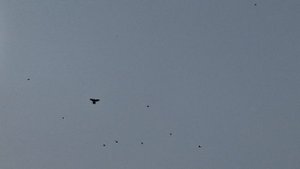 ГОНЯЕМ   У   Руслана