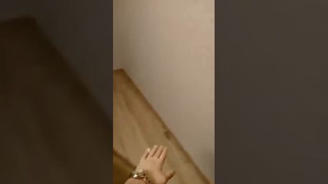 Как подготовить квартиру к дезинфекции смотреть онлайн